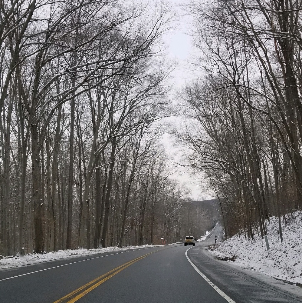 Meet your Posher, Erika